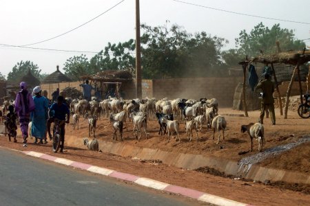 file:///home/sharon/AFRICA/Images/100_2502.jpg