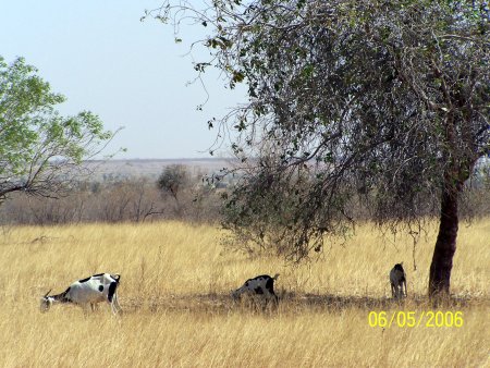 file:///home/sharon/AFRICA/Images/B9.jpg